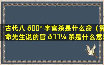 古代八 💮 字官杀是什么命（算命先生说的官 🌼 杀是什么意思）